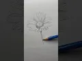 Draw a flower Easy drawing lesson for beginners on how to draw a flower