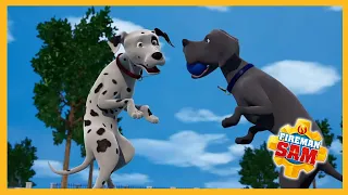 Radar, meet Shadow! 🔥 Fireman Sam Compilation 3 Hours