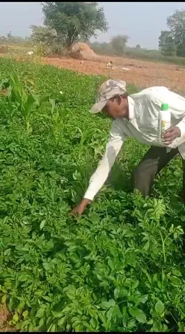 रांची के किसान ने आलू की खेती के लिए दी कैसी टिप्स | वनइंडिया हिंदी