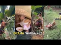 Lagu JANG4N MINVM SAMBIL NONTON‼️VIDEO LUCU BIKIN NGAKAK 😂 KUMPULAN MOMEN KOCAK Terbaru 2025