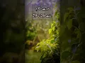 Download Lagu Surah baqarah ayat 26 to 29 |Quran tilawat #islamicvideo #islamicinsights #recitation #viralvideo