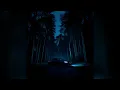 Download Lagu analogue winter - .diedlonely will make you alive