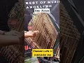 Download Lagu Bantu SUBSCRIBE kak #carijodoh #wali #cover #angklung #bandung #angklungindonesia #pengamenjalanan