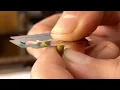 How To Get Thin Plant Cross Section or TS Properly by Hand in Slow Motion
