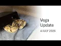 Vega Progress Report 4 July 2026