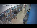SE Houston pet store says thieves stole 3 puppies over 10K worth of product