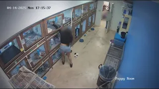 SE Houston pet store says thieves stole 3 puppies over 10K worth of product
