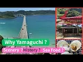 Why Yamaguchi Should Be on Your Japan Bucket List!
