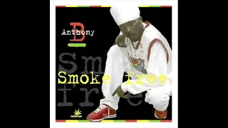 Download Anthony B     Smoke Free   2003 MP3