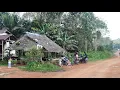Download Lagu Jalan masih tanah, Suasana tenang dan damai di kampung Dayak desa