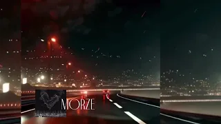  morze nowa polska muzyka 2026 top hity spotify apple music yt antartlife