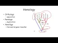 Sequence Similariity and Alignment