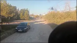                     دندنها