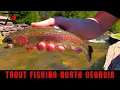 Trout Fishing North Georgia