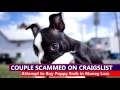 Couple Scammed While Buying Puppy on Craigslist