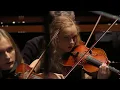 Camille Saint-Saëns - Le Carnaval des animaux, The Carnival Of The Animals