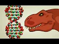 Hva er DNA og hvordan virker det?