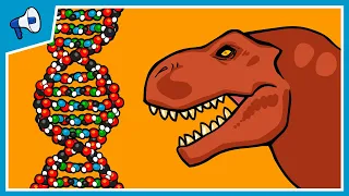 what is dna and how does it work