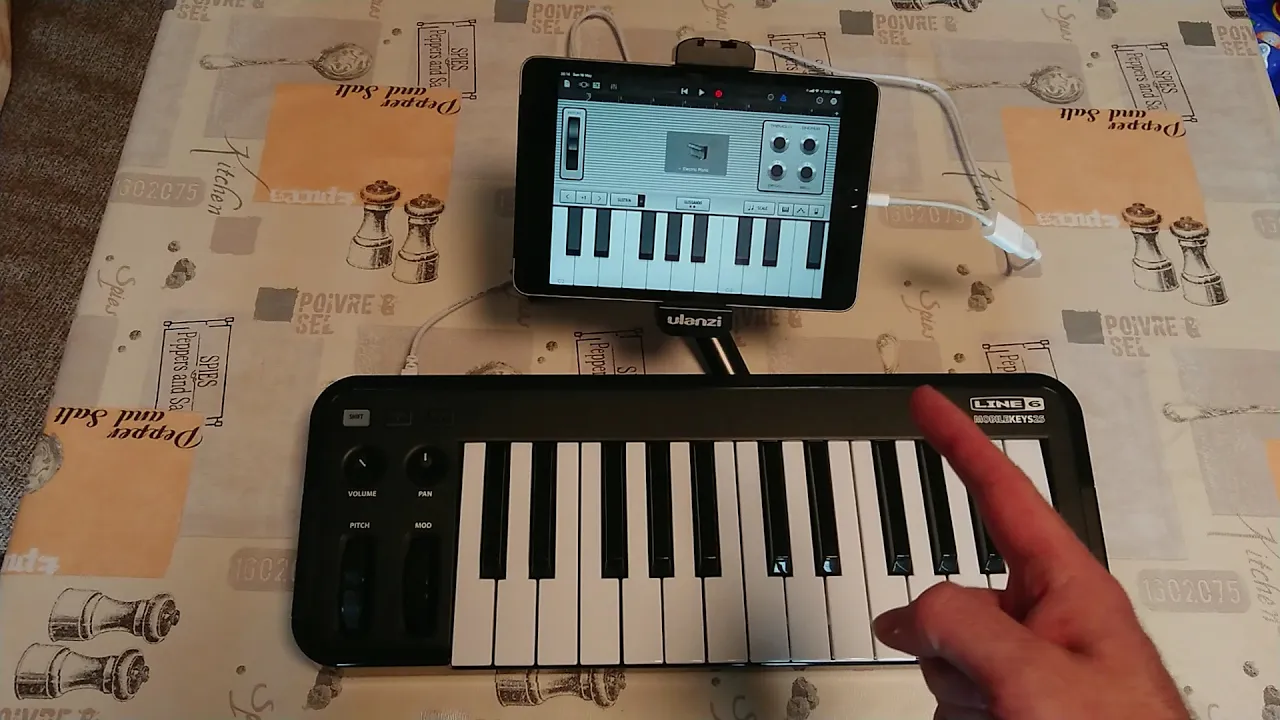 Touring  and travelling Guitar with  intergrated Line 6 Interface for iPhone