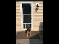 Larson PetView Dog Door Part 2