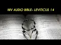 LEVITICUS 14 NIV BIBLE with text