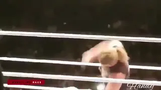 Handy Catch Match The Shild Vs Brown Dolfh 