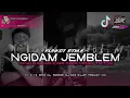 Lagu DJ FUNKOT NGIDAM JEMBLEM VIRAL TIKTOK🔥 (SAM RAJAP PRODUCTION)