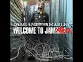 Hey Girl (feat. Stephen Marley & Rovleta Fraser)