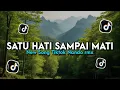 Lagu Dj Satu Hati Sampai Mati - Viral TikTok Nando rmx