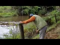 Jake the black Lab retrieves two mallard ducks