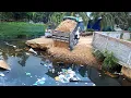 Download Lagu Completed A Part of Project Pushing Soil to the dirty water and garbage by Bulldozer and Trucks