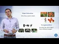 Deep Learning - 045 Image segmentation