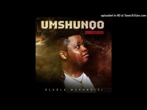 Download MP3 02. Dladla Mshunqisi - Woza Uzizwele (feat. DarkSilver)