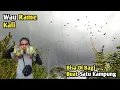 Download Lagu Menjaring Burung Punai !! Rame Kali Ada Satu Kampung
