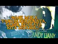 Download Lagu Andy Liany - Bukan Itu || Lead Guitar Cover