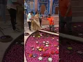 Download Lagu Wedding Photoshoot #viral #shorts