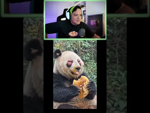Animales IA?