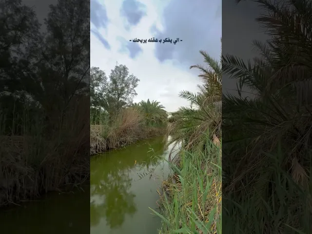 ⁣هذا الي يفكر بإذنه يشلع گلبك 🖤 ،، الشيخ احمد الوائلي رحمه الله