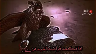 الما ماشه صكر لا يمشي وي شاهين ستوريات قصف جبهات هوسات زماط جديد 2022  الما ماشه صكر لا يمشي وي شاهين ستوريات قصف جبهات هوسات زماط جديد 2022
