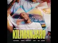 Kilimanjaro
