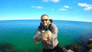 Benzo apprend la Pêche de la Seiche à Théo 🎣🦑 EGING