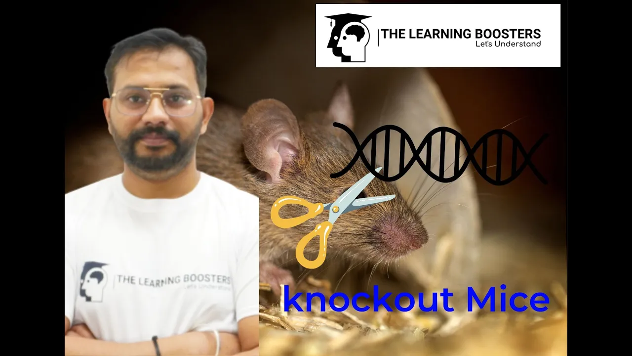 knockout Mice
