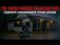 Lagu KISAH NYATA‼️TAK SADAR MAMPIR DI WARUNG GAIB, TERNYATA KARYAWANNYA TEMAN SENDI YANG HILANG LAMA