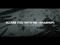 Dj Are You With Me - Mashup Remix 🎶 - (Tik Tok Version) - Bootleg Febry Remix 