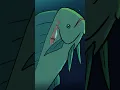 Cookiecutter Shark