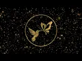 Brett Darryl Forever - 4K Visualizer