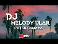 Download Lagu DJ Melody Ular X Coter Gamaya Kane ( Slowed \u0026 Reverb ) 🎧