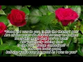 Good as i was to you (Lyrics)