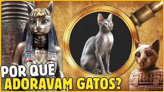 POR QUE ADORAVAM GATOS NO EGITO ANTIGO?