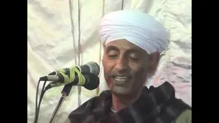 فى حب السيده زينب المبدع عبدالحميدالشريف 